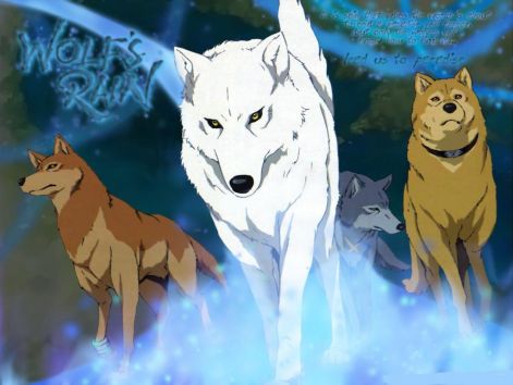 wolfsrain06.jpg wolfsrain06.jpg